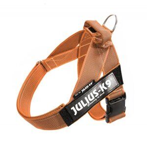 JULIUS-K9 IDC Color & Gray Belt Dog Pet Harness - Size M - Orange - NWT